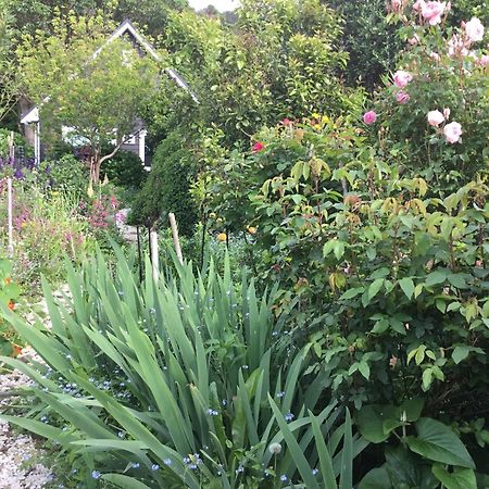 Hahei Kereru Cottage Exterior photo