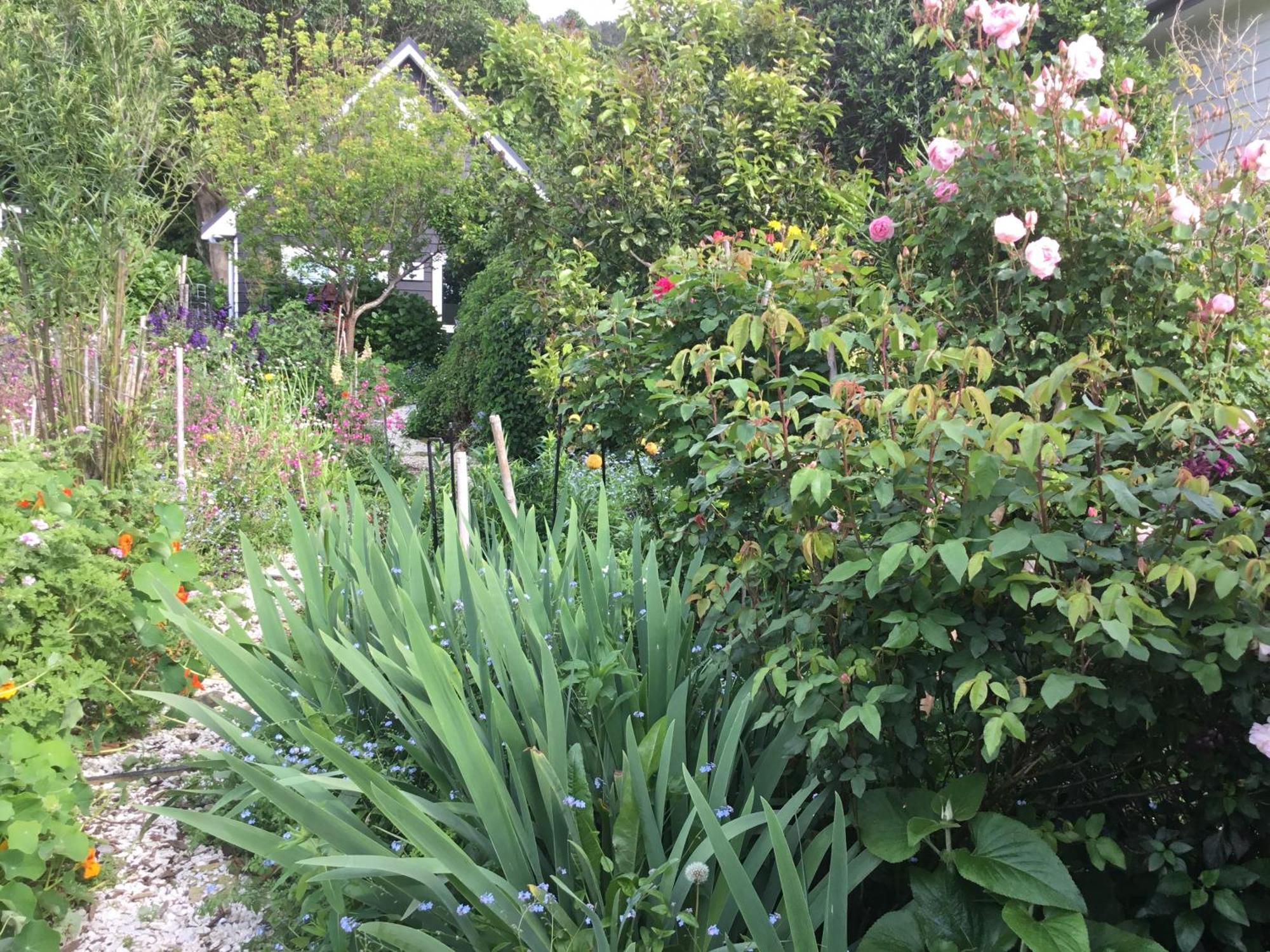 Hahei Kereru Cottage Exterior photo